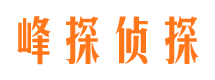 惠阳市侦探调查公司